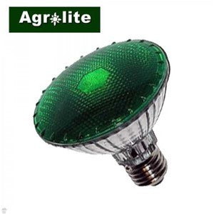 Agrolite Dark Light 100w