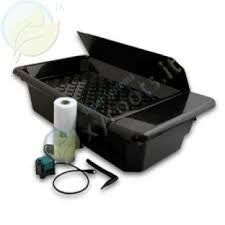 Nutriculture NFT GT205