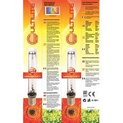 Kit 120x120x200 - 600 w HPS con filtro ai carboni attivi