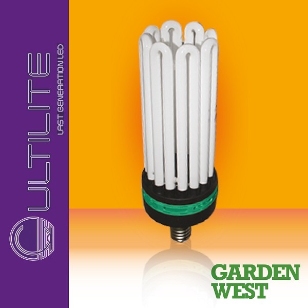 300 w CFL + Filtro Anti Odore e Vents TT 100
