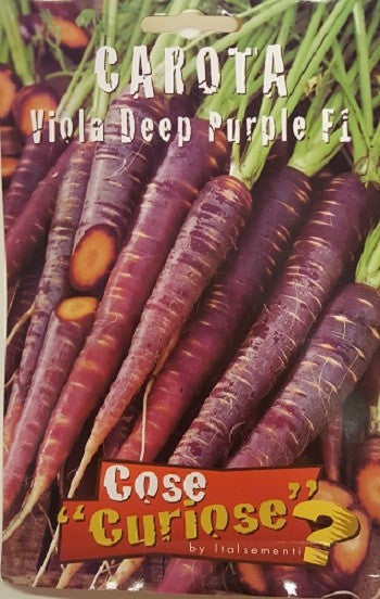 Carota Purple