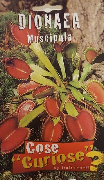 Dionaea Muscipola