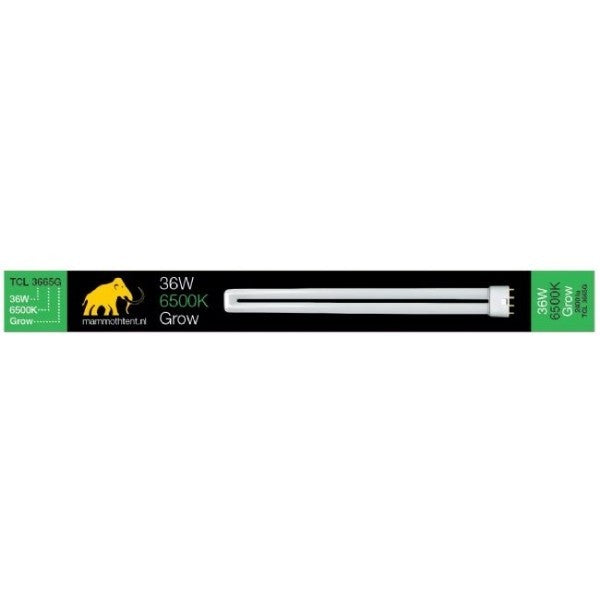 Mammoth Neon TCL Crescita 36W - 6400°K
