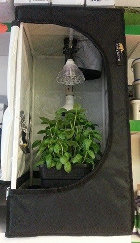 grow tent 40x40x80 Mammoth 40x40x80