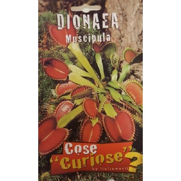 Dionaea Muscipola