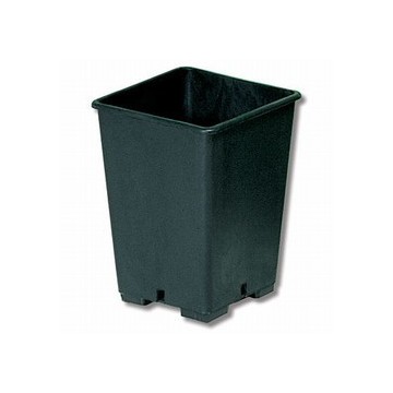 Vaso Quadrato In Plastica 13x13x18 Da 2,4 L