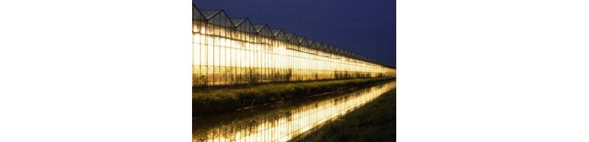 Illuminazione indoor - Garden West GrowShop on line Milano