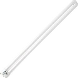 Neon Osram 55 W - 6400°K