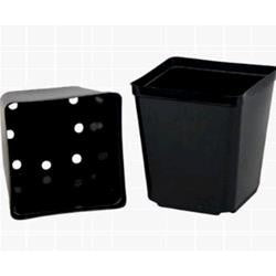 Vaso Quadrato In Plastica 7x7x8 Da 0,35 L